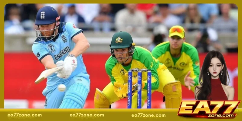 Cricket betting tips BD by understanding the rules of the game