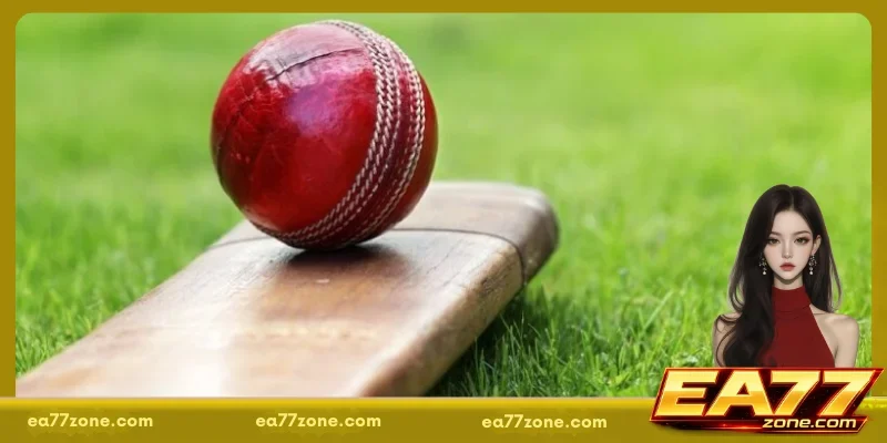 Red leather ball placed on a wooden bat resting on grass surface in an outdoor setting
