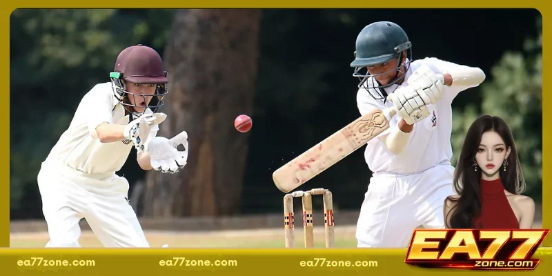 How to successfully bet on cricket online and win big